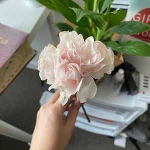 Meet your Posher, Natasha